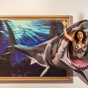 Shark