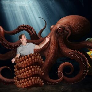 Octopus